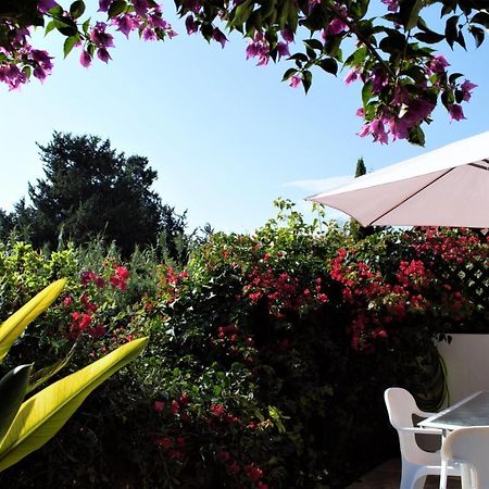 Townhouse In Paradise Gardens Paphos 外观 照片